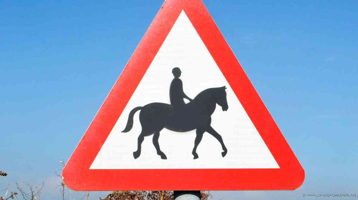 Horse and rider 'struck by car doing plus 70mph' as urgent plea made