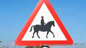 Horse and rider 'struck by car doing plus 70mph' as urgent plea made