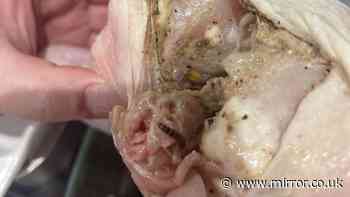 Horrified woman finds worms in Tesco chicken