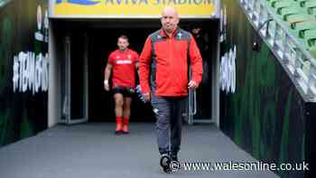 James Haskell's Shaun Edwards theory spells trouble and Wales face 'ultimate challenge'