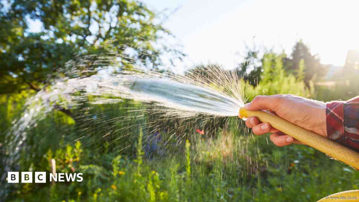 Thames Water says hosepipe ban could last months yet