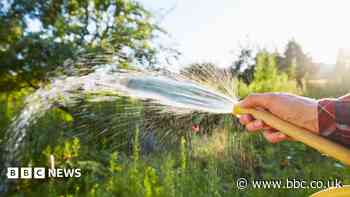 Thames Water says hosepipe ban could last months yet