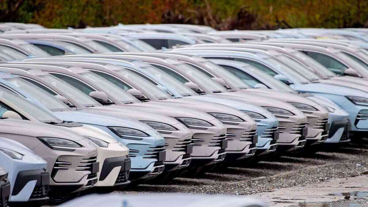 Mehr als jeder fünfte neue Pkw in der EU fährt elektrisch