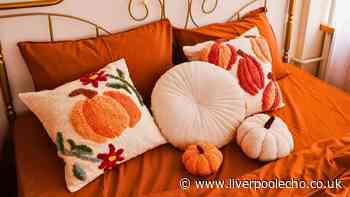 Bed sheets will stay clean without any dust mites if you do a simple 10-minute task