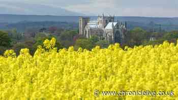 Charming city with historic cathedral and medieval ruins less than 90 mins from Newcastle