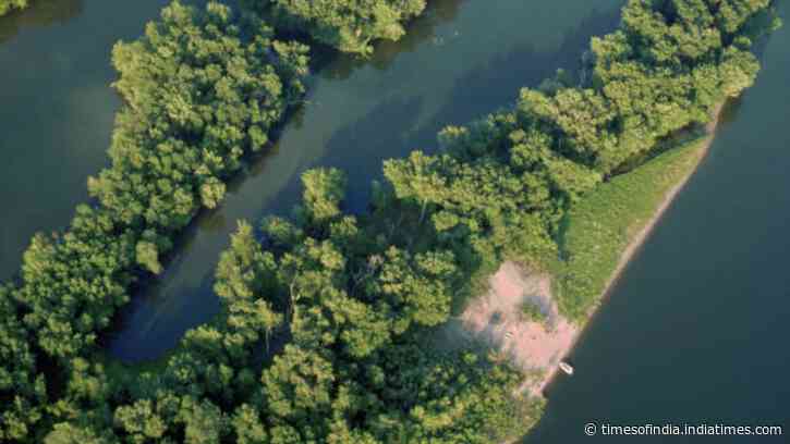 Engineers used 500,000 cubic yards of Mississippi River sand to build 7 islands and restore 270 acres
