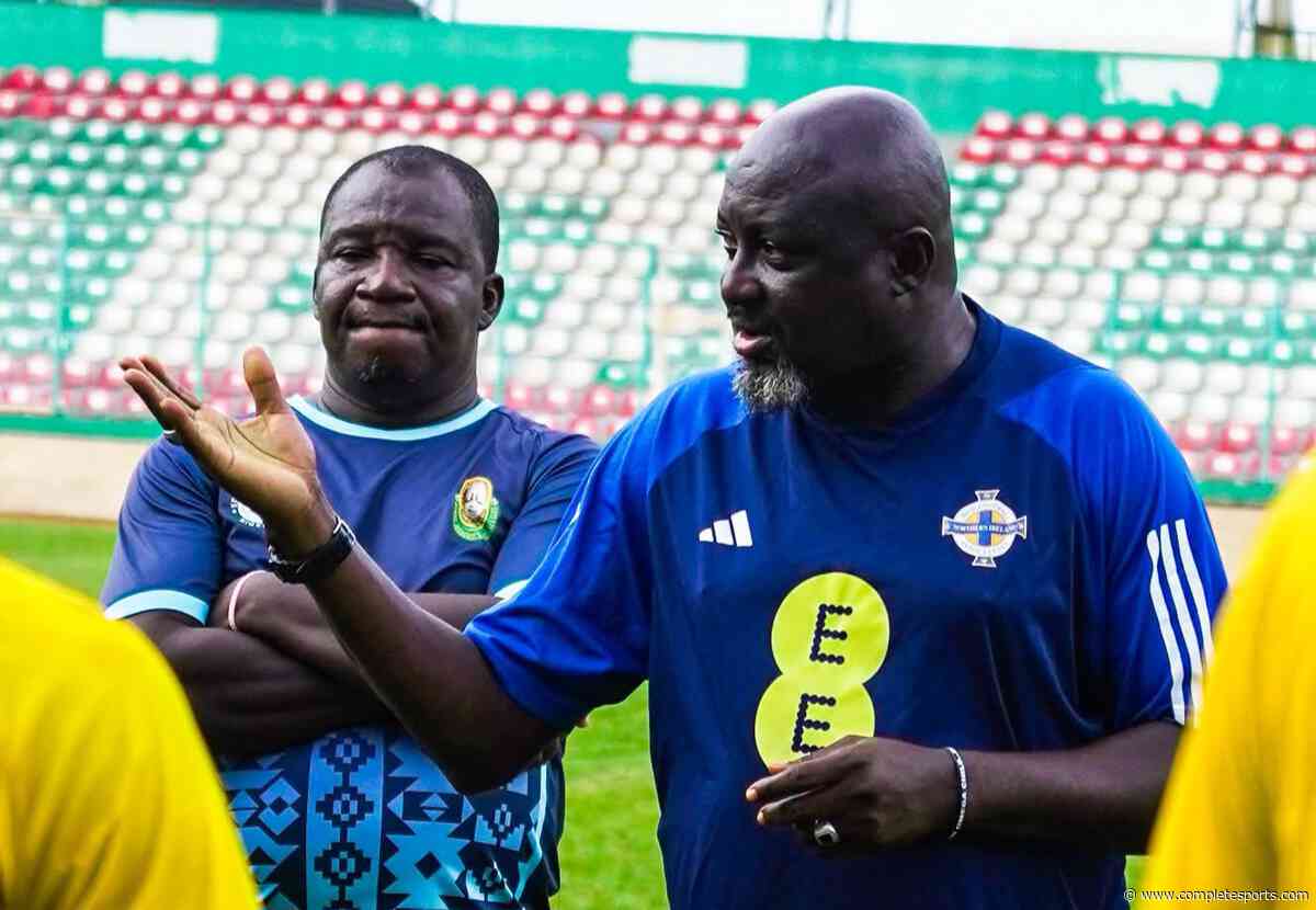 EUROMATCH–NPFL: Boboye Laments Lack Of Quality Strikers In Domestic League
