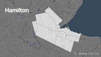 Who's running for mayor in Hamilton? Get to know the candidates and the issues they say they'll tackle