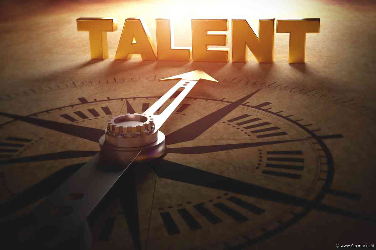 SER: talent nieuwkomers wordt onvoldoende benut op arbeidsmarkt