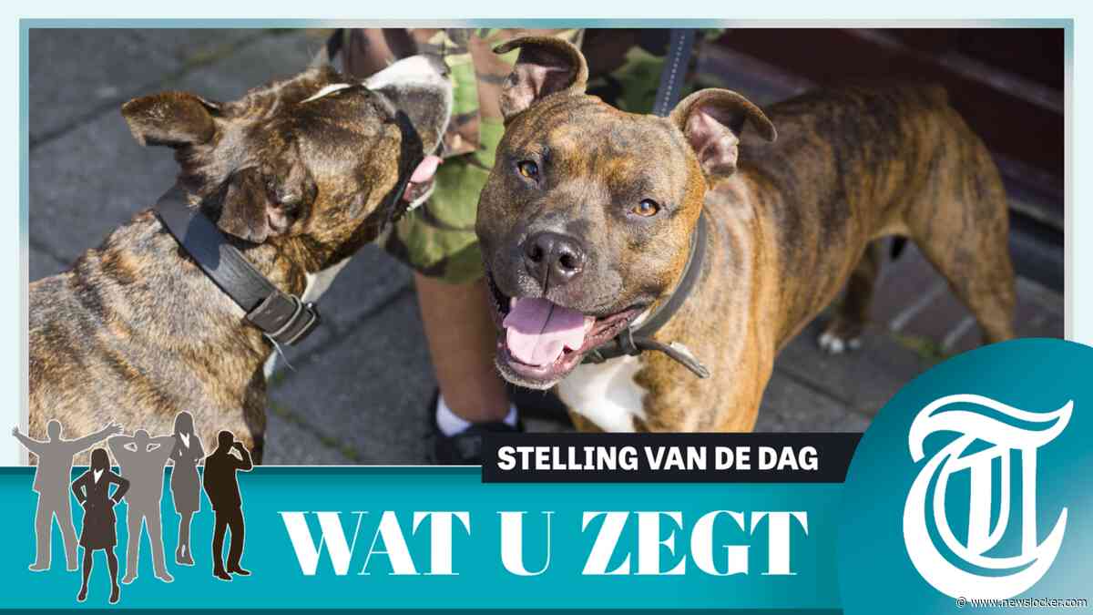 Stelling: Baasje bijthond verplicht op cursus