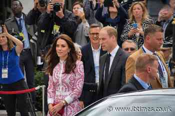 Kate Middleton's Scar Catches Attention as Online Users Revisit Unproven Claims About Prince William