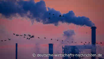 Deutsche Wirtschaft wächst wieder: Institute verdoppeln Prognose