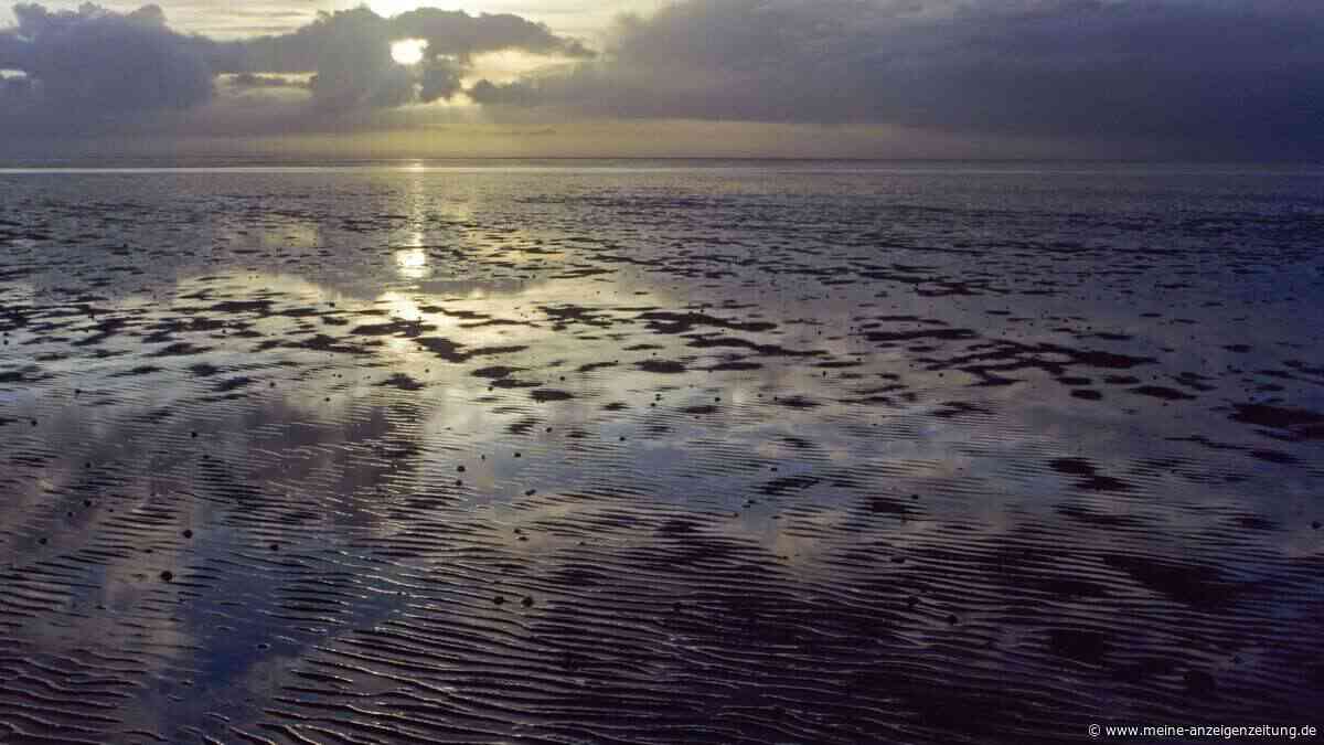 Woher kommt das Methan im Wattenmeer? Die Antwort könnte tief im Meeresboden liegen