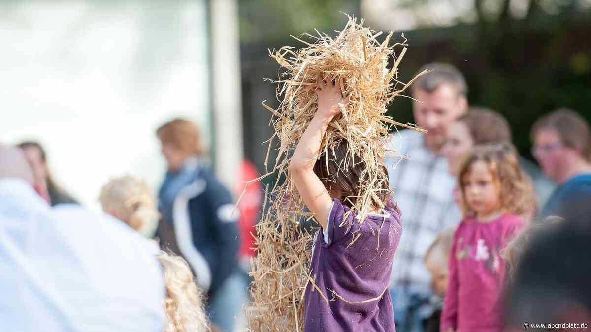 Gerichtsposse um Stroh: Niendorfer Stadtteilfest muss Attraktion streichen