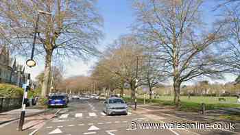 Police searching for woman heard 'screaming' near Cardiff park
