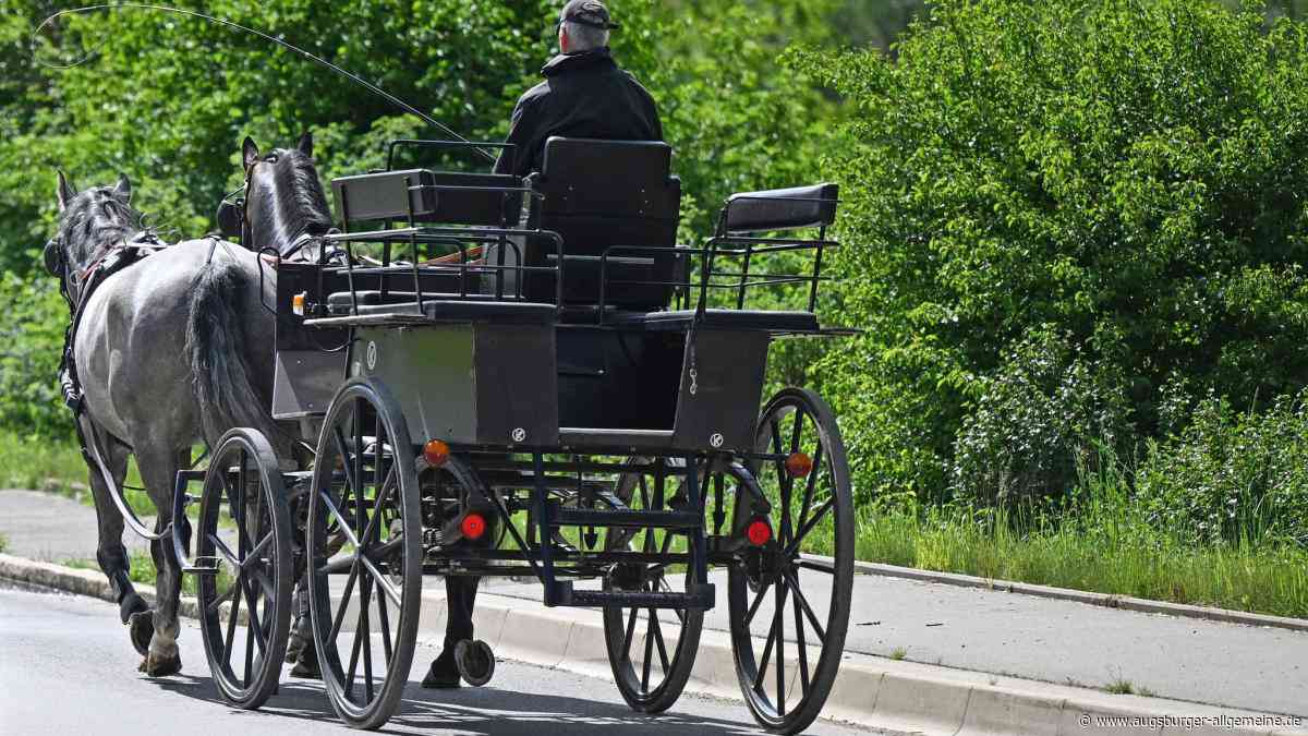 Nach Unfall in Fuchstal: Tierschützer fordern Verbot von Kutschfahrten im Landkreis Landsberg