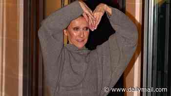 Celine Dion boxes with her bodyguard as she puts on a VERY animated display at her Paris hotel after triumphant comeback gigs