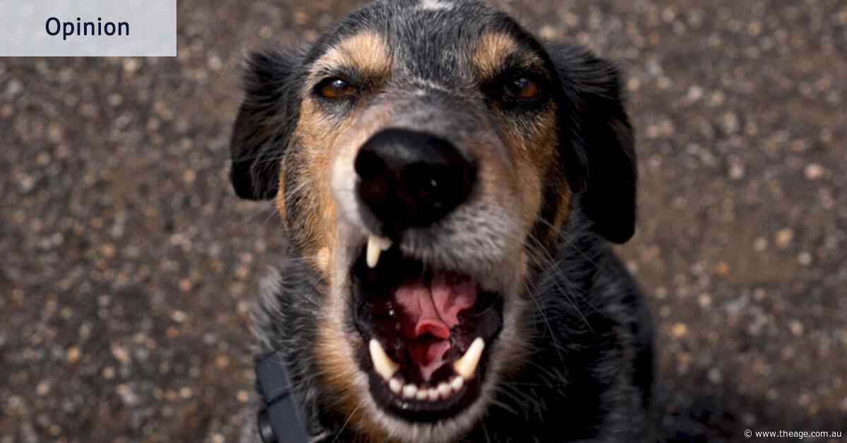 I get it, you love your dog. But don’t bring it to my pub