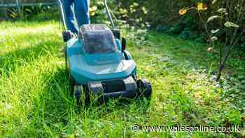 What time can you mow your lawn on weekends? UK gardeners settle the 8am debate