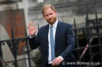 Prince Harry Recalls Child's Blunt 'My Country Suffers' Remark After Cameras Drew Crowd in Caribbean