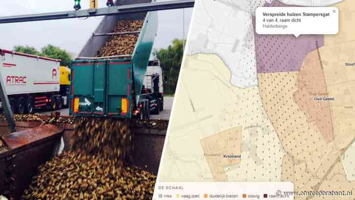 Geen buienradar maar bietenradar: deze site voorspelt waar je bieten ruikt