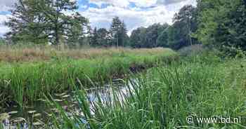Educatieve wandeling langs beekdal De Beerze in Oirschot