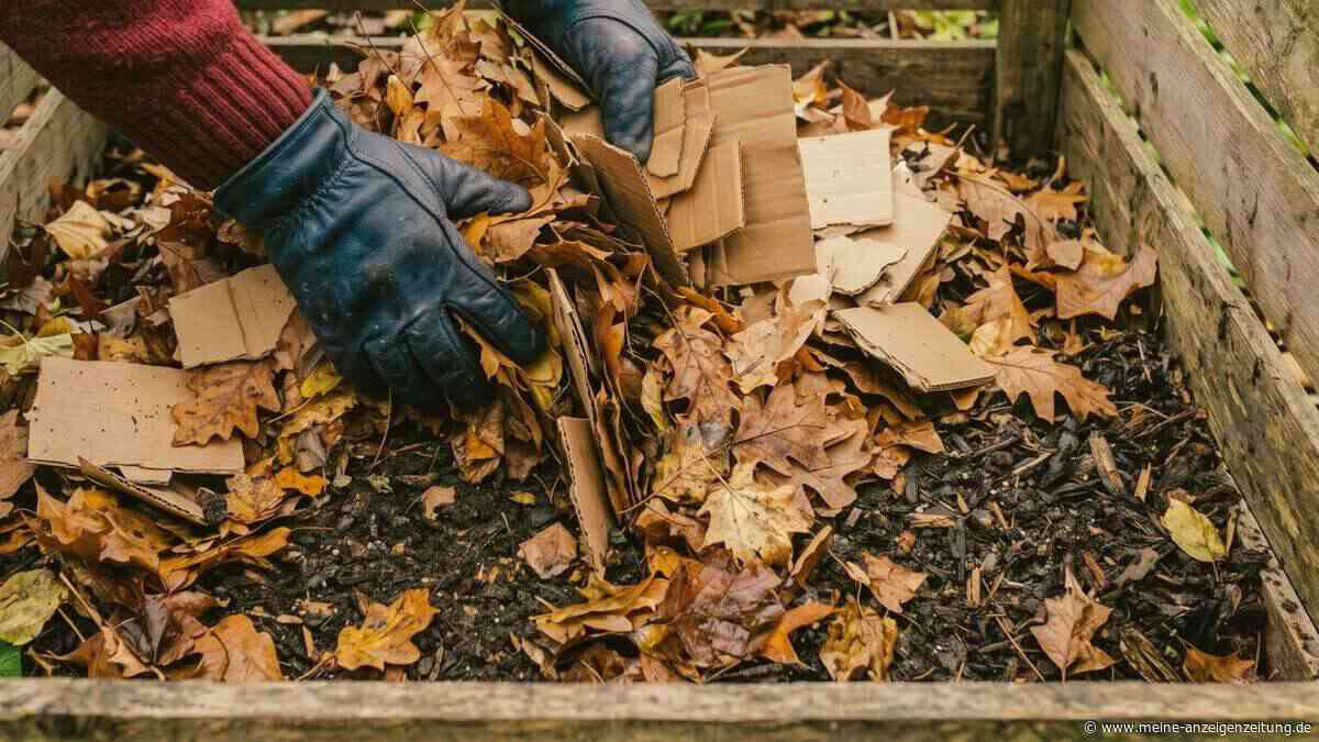 Herbstlaub im Garten – mit Pappe wird daraus schneller Kompost