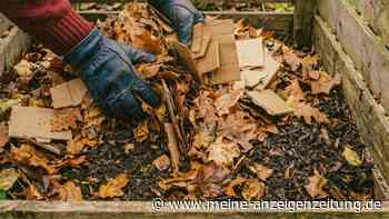 Herbstlaub im Garten – mit Pappe wird daraus schneller Kompost