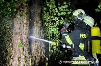 FW-AUR: Blitzeinschlag in Baumstamm