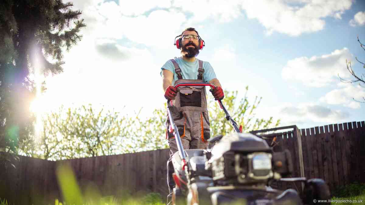 Gardener settles debate on how early you can mow your lawn to avoid neighbour rows