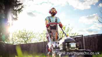 Gardener settles debate on how early you can mow your lawn to avoid neighbour rows