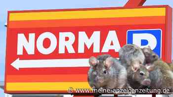 Schwere Vorwürfe gegen Norma wegen Ratten und verunreinigter Ware im Zentrallager