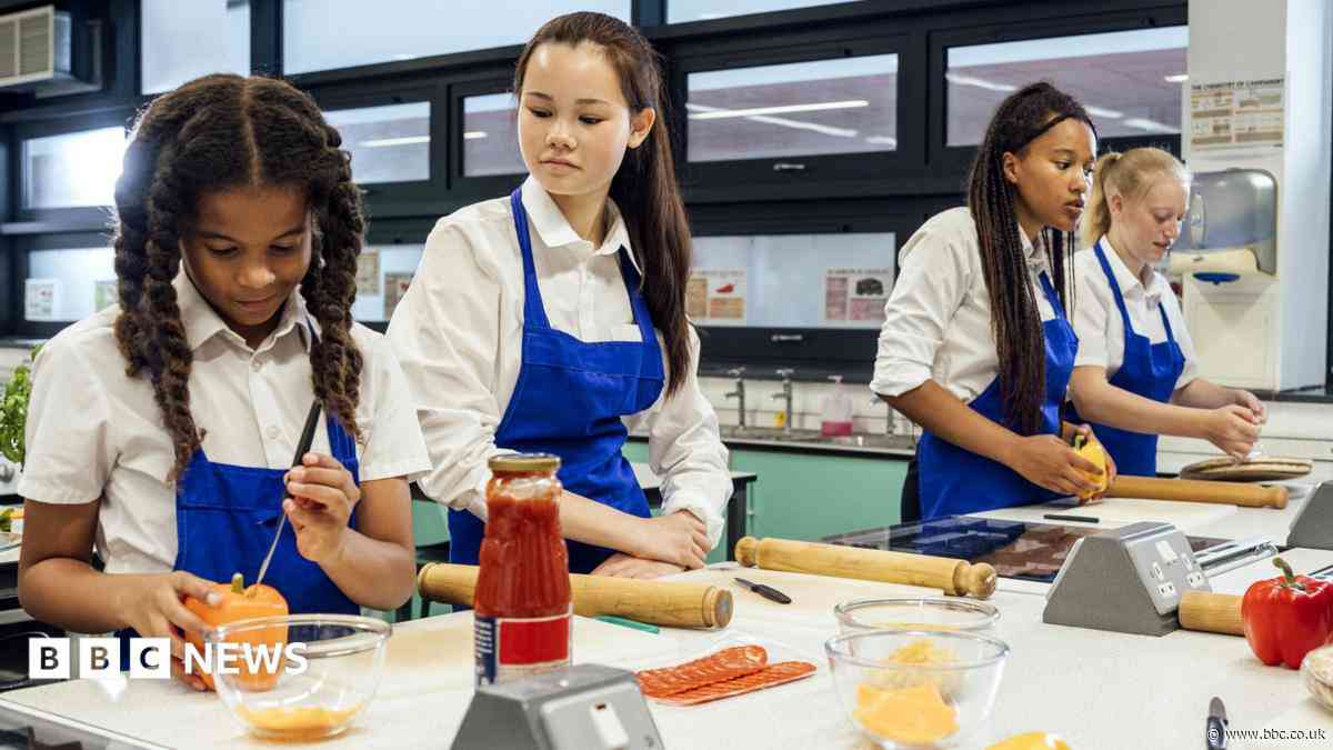 Teenagers to be offered new vocational GCSE subjects in school