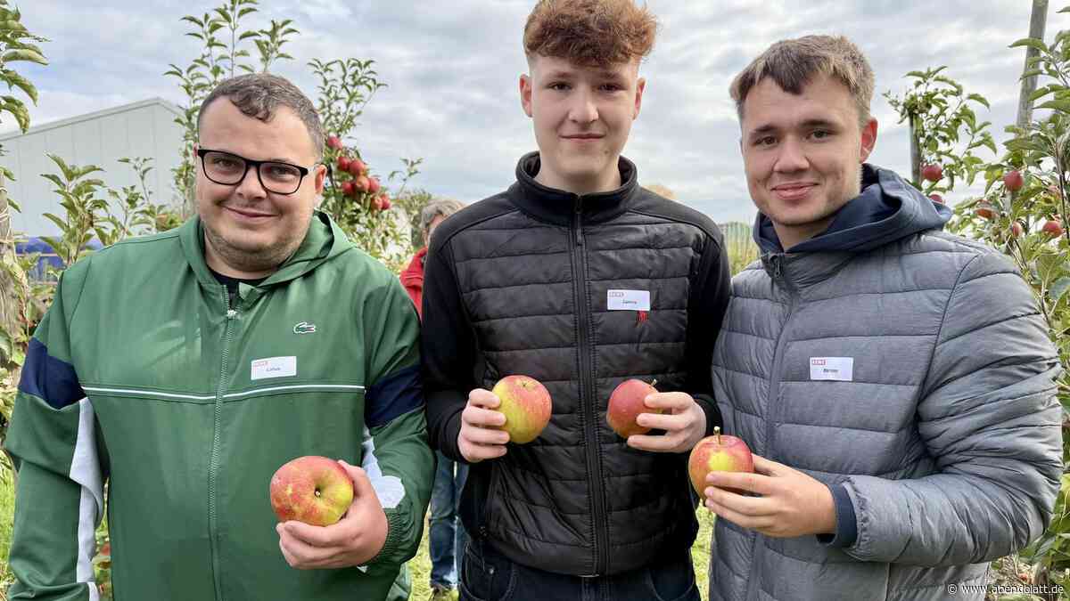 Was Auszubildende von Rewe auf einem Obsthof im Alten Land überrascht