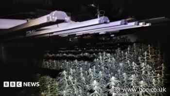 Arrests after drugs farm discovered above bar