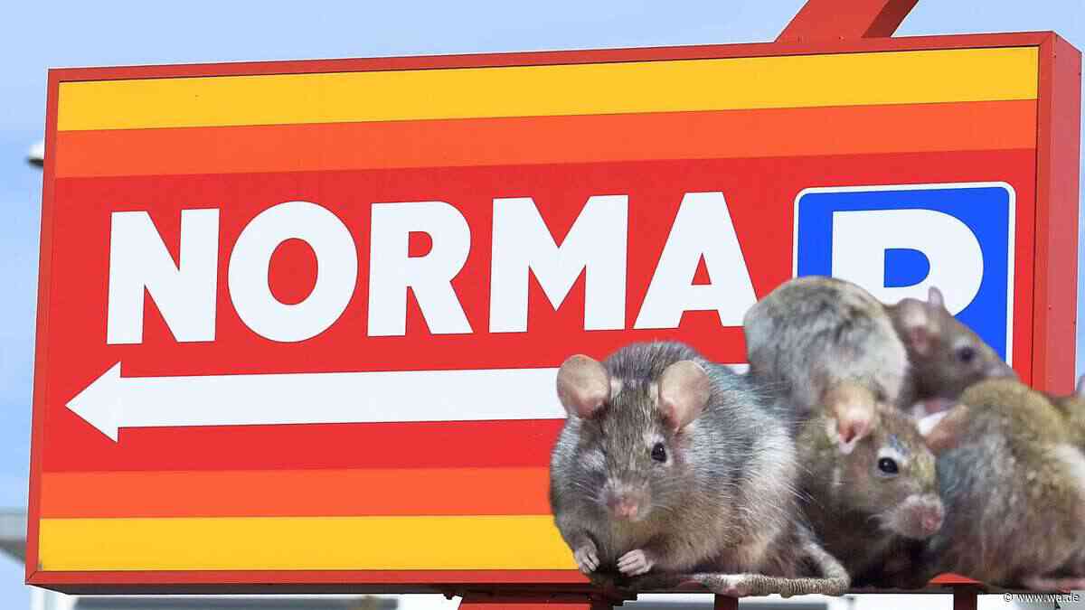 Schwere Vorwürfe gegen Norma wegen Ratten und verunreinigter Ware im Zentrallager