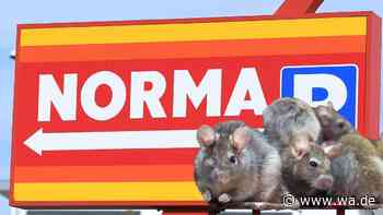 Schwere Vorwürfe gegen Norma wegen Ratten und verunreinigter Ware im Zentrallager
