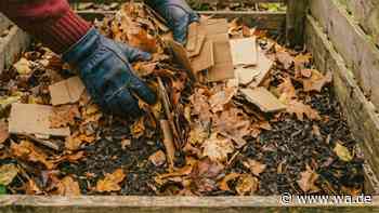 Herbstlaub im Garten – mit Pappe wird daraus schneller Kompost