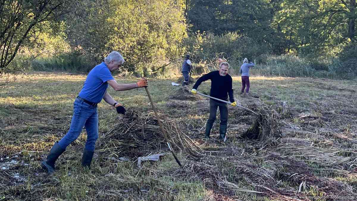 Erneute Mahd in den Wasenlöchern