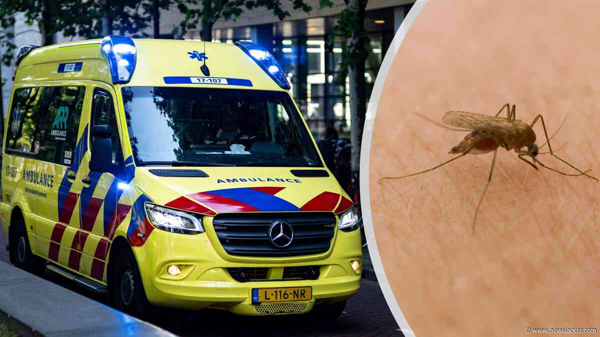 Vijfde persoon met westnijlvirus overleden, meer besmettingen in Nederland