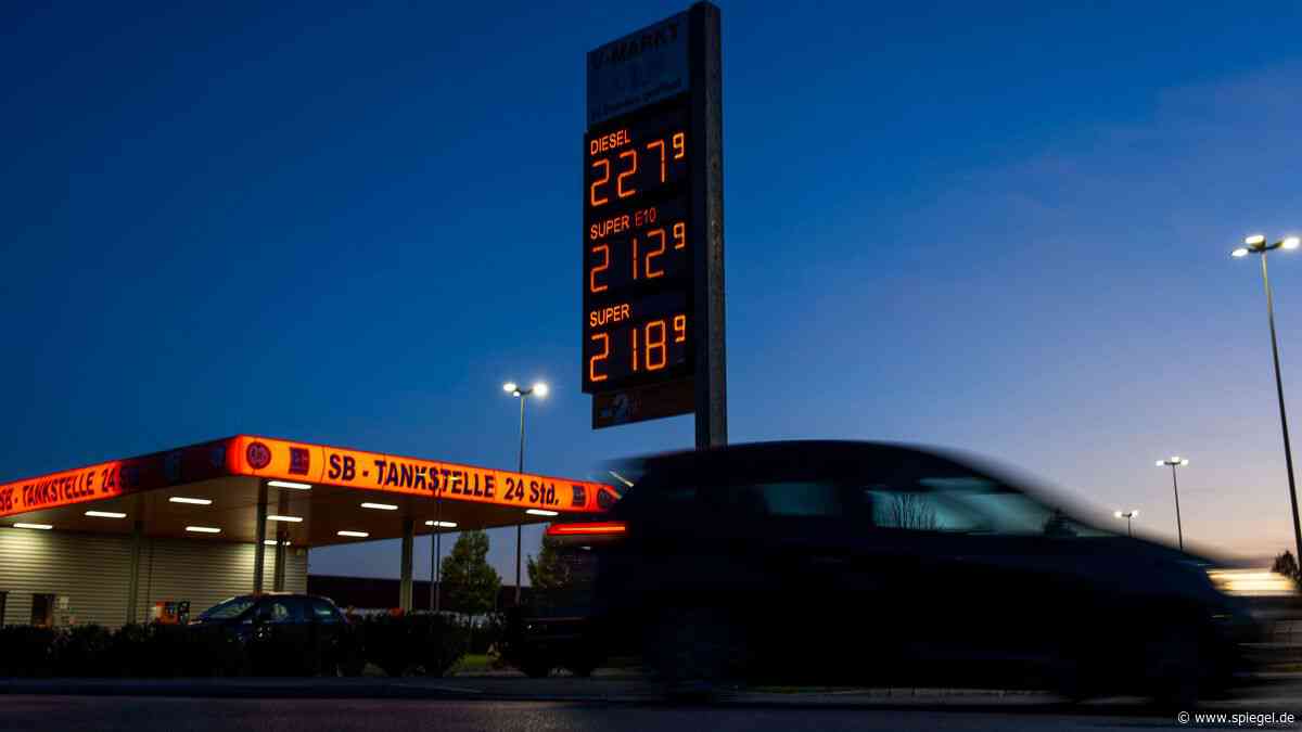 Tankrabatt: »Dauerhaft kann der Staat die Preise nicht nach unten subventionieren«