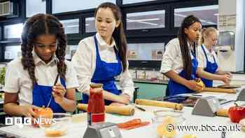 Teenagers to be offered new vocational GCSE subjects in school
