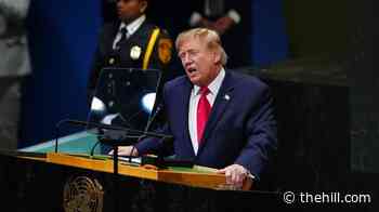 Trump disapproval highest in second term amid economic woes: Emerson College