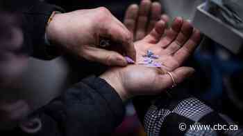 Toxic street drugs 'wreaking havoc' on people who use them, challenging doctors
