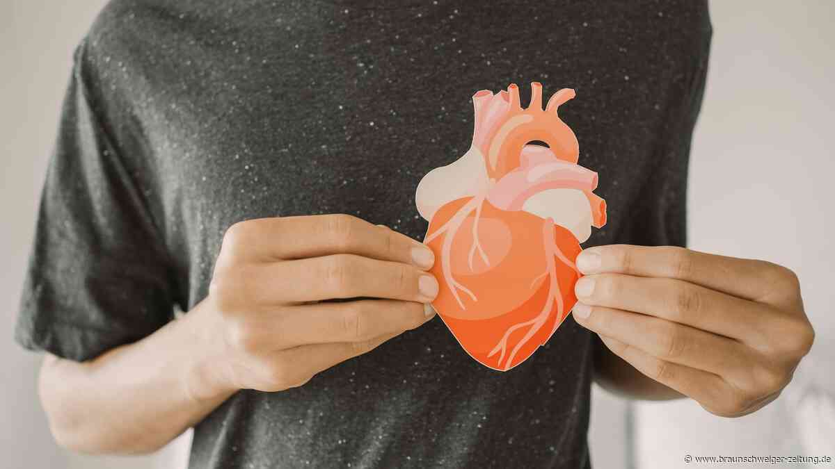 Organspende: Koordinator Sören Melsa erklärt Ablauf – „maximal vier Stunden“