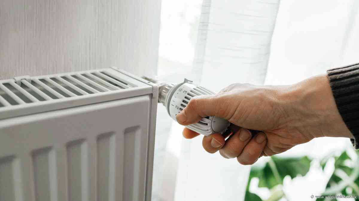 DWP winter fuel payment 12 benefits that mean you do not need to claim - full list