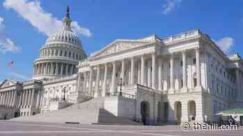 Democrats hold 11-point lead over GOP on congressional ballot: Poll 