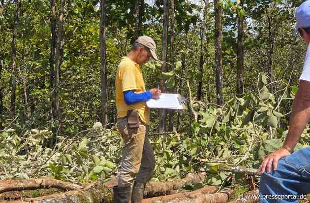 Life Forestry Switzerland AG i.L. - Teakbäume vorhanden - Endernten beginnen - Erlöszahlungen starten - Kunden sind und bleiben Baumeigentümer