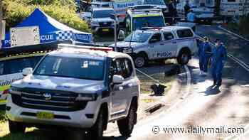 Second child dies in Blue Mountains stabbing tragedy as mother remains in custody