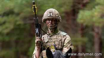 Can't stop the cavalry! British army turns to horses to travel silently and unseen in the age of drone warfare